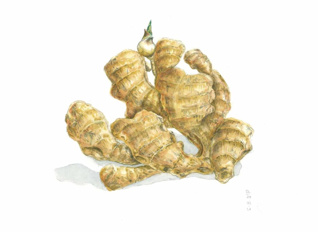 Ginger by Sarah Löcker