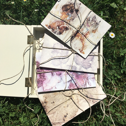 Eco Print (DIY) on Paper